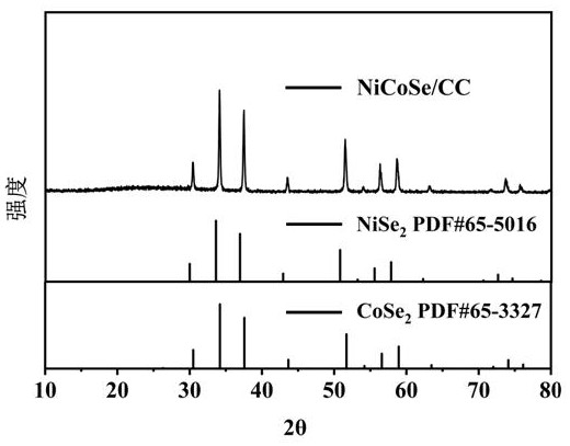 NiCoSe/carbon cloth/S composite lithium-sulfur battery positive electrode material and preparation method thereof