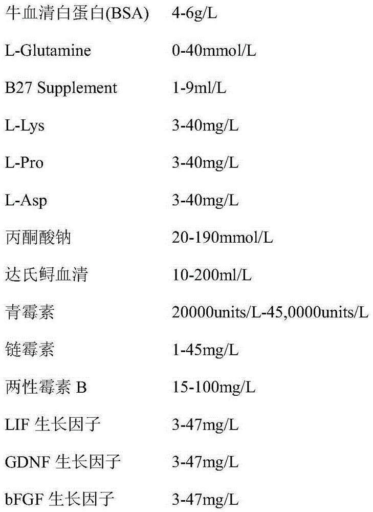 Acipenser dabryanus spermatogonium culture solution and application thereof