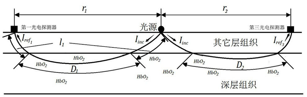 Non-invasive measurement method of hemoglobin concentration based on the principle of optical reflection