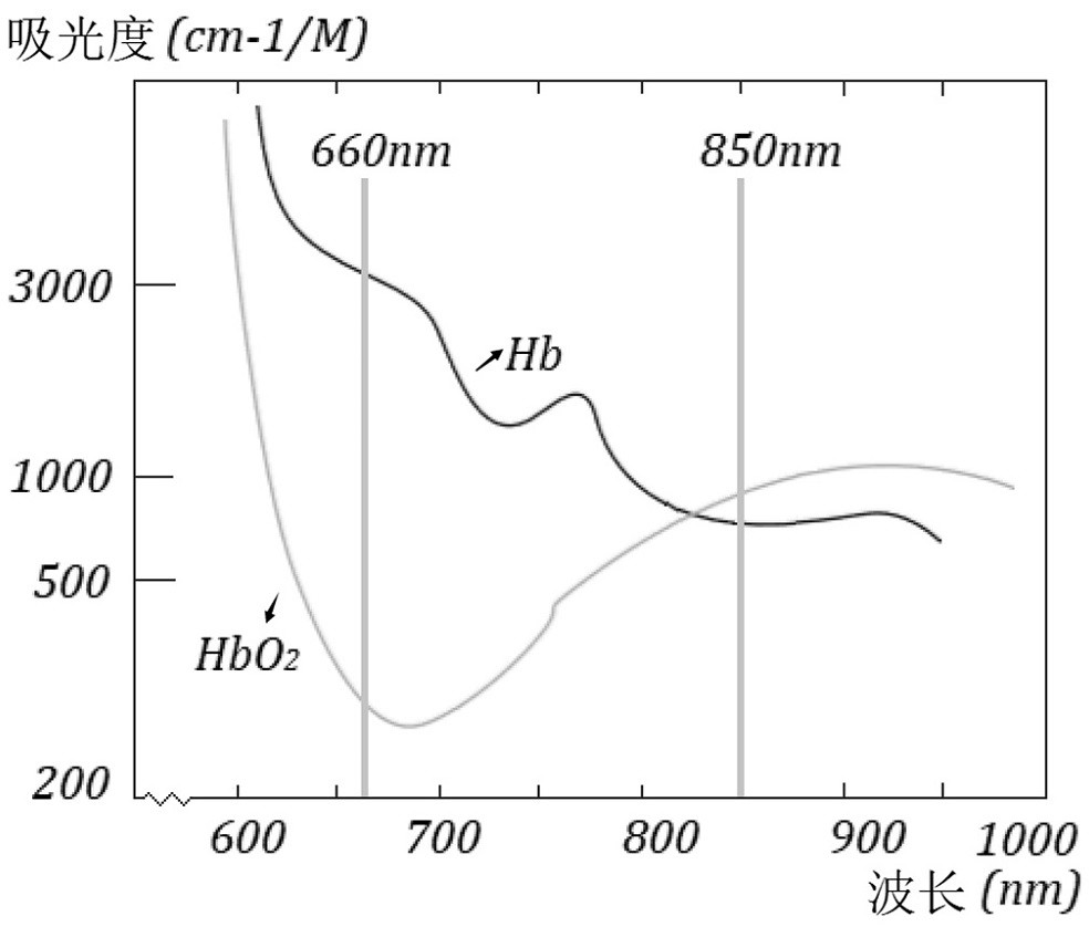 Non-invasive measurement method of hemoglobin concentration based on the principle of optical reflection