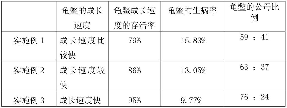 Method for male-female balanced seedling culture of large-scale testudinate cultivation