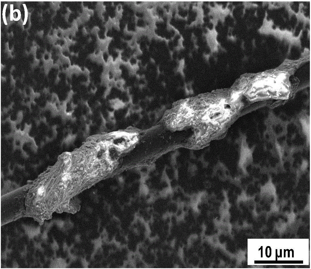 Zirconium diboride-based composite material toughened by colloid-dispersed chopped carbon fibers and preparation method thereof