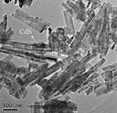 Preparation and application of Ag-RGO-Cds ternary nano compound