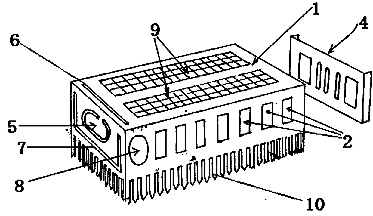 Queen bee cage