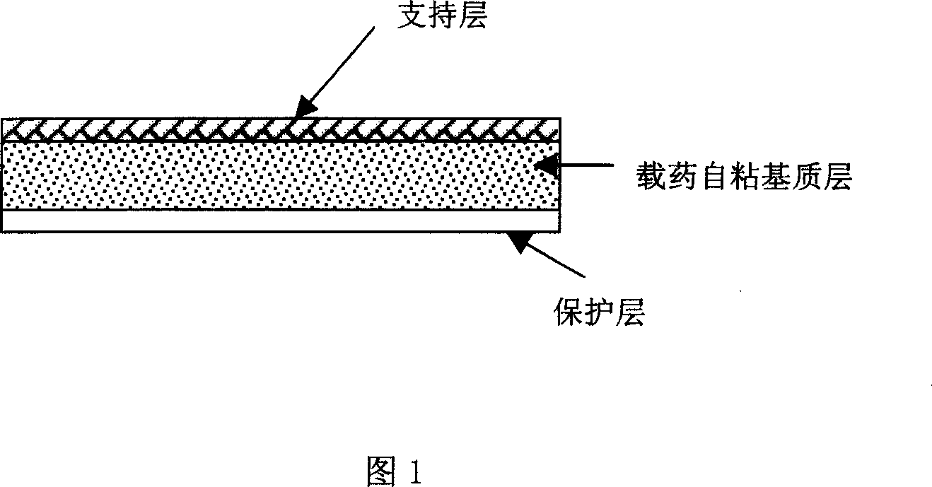 Rasagiline transparent patch for curing and preventing neurological diseases and the preparing method thereof