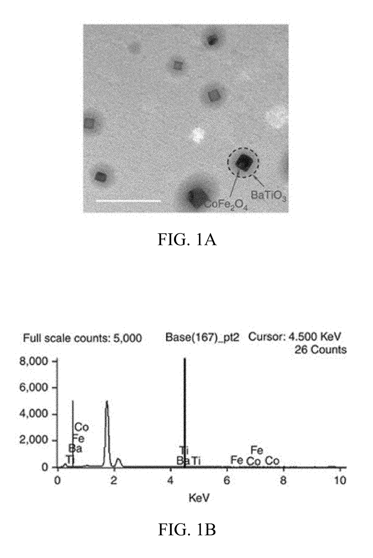 Compositions and methods for treating hiv-associated neurocognitive disorders