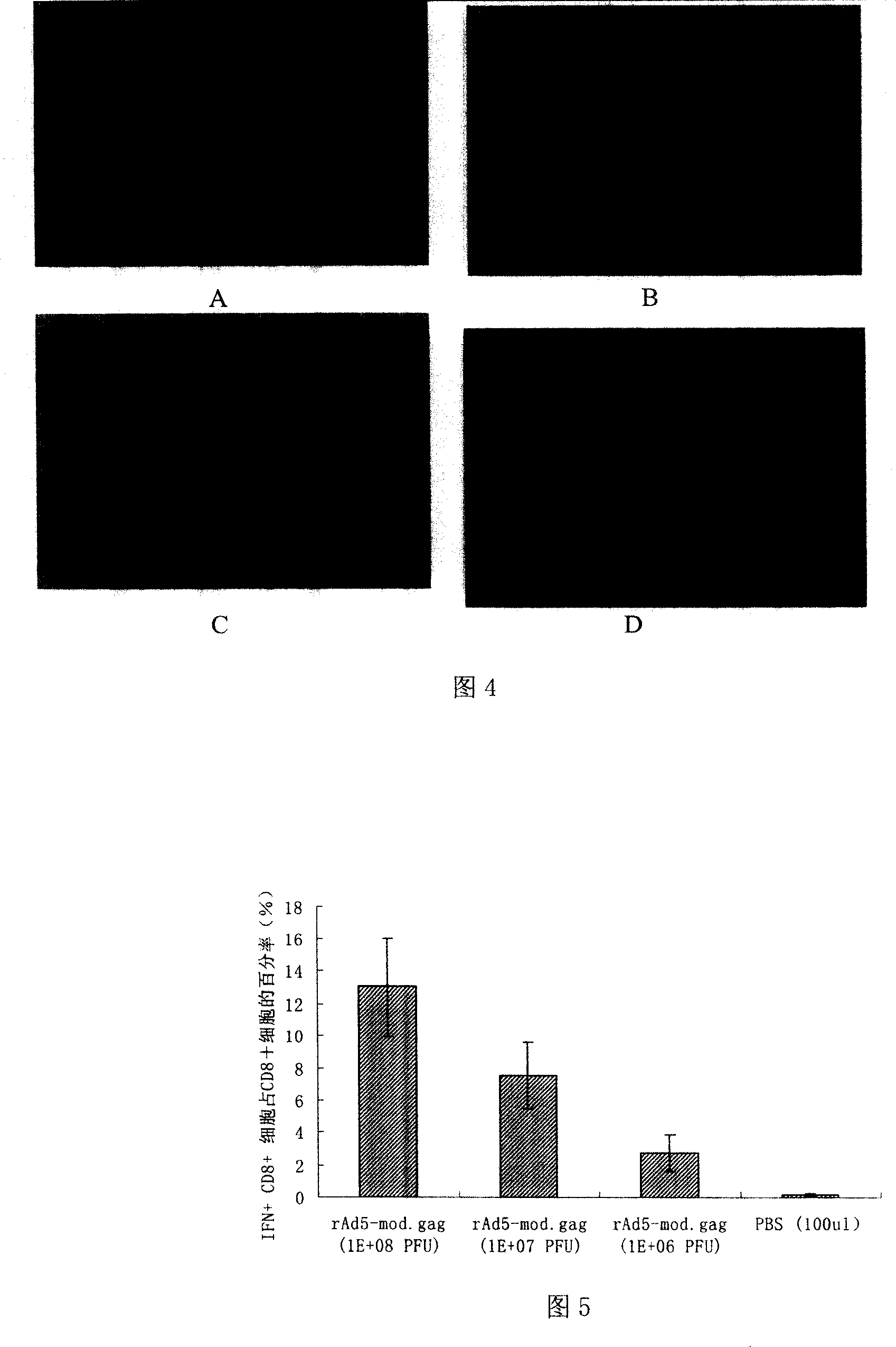 IIIV vaccine containing recombination virus and its united immune preparation