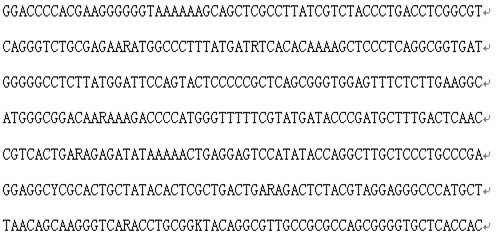 A kit for genotyping hepatitis C virus