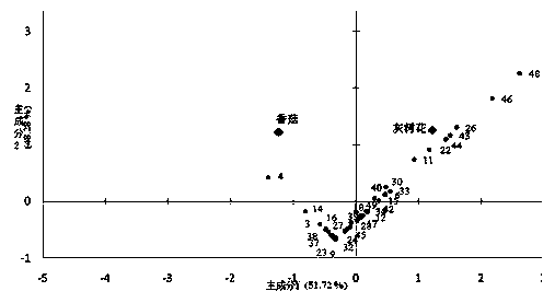 Method for distinguishing flavor substance in edible mushroom through combination of headspace gas chromatography-mass spectrometer and electronic nose