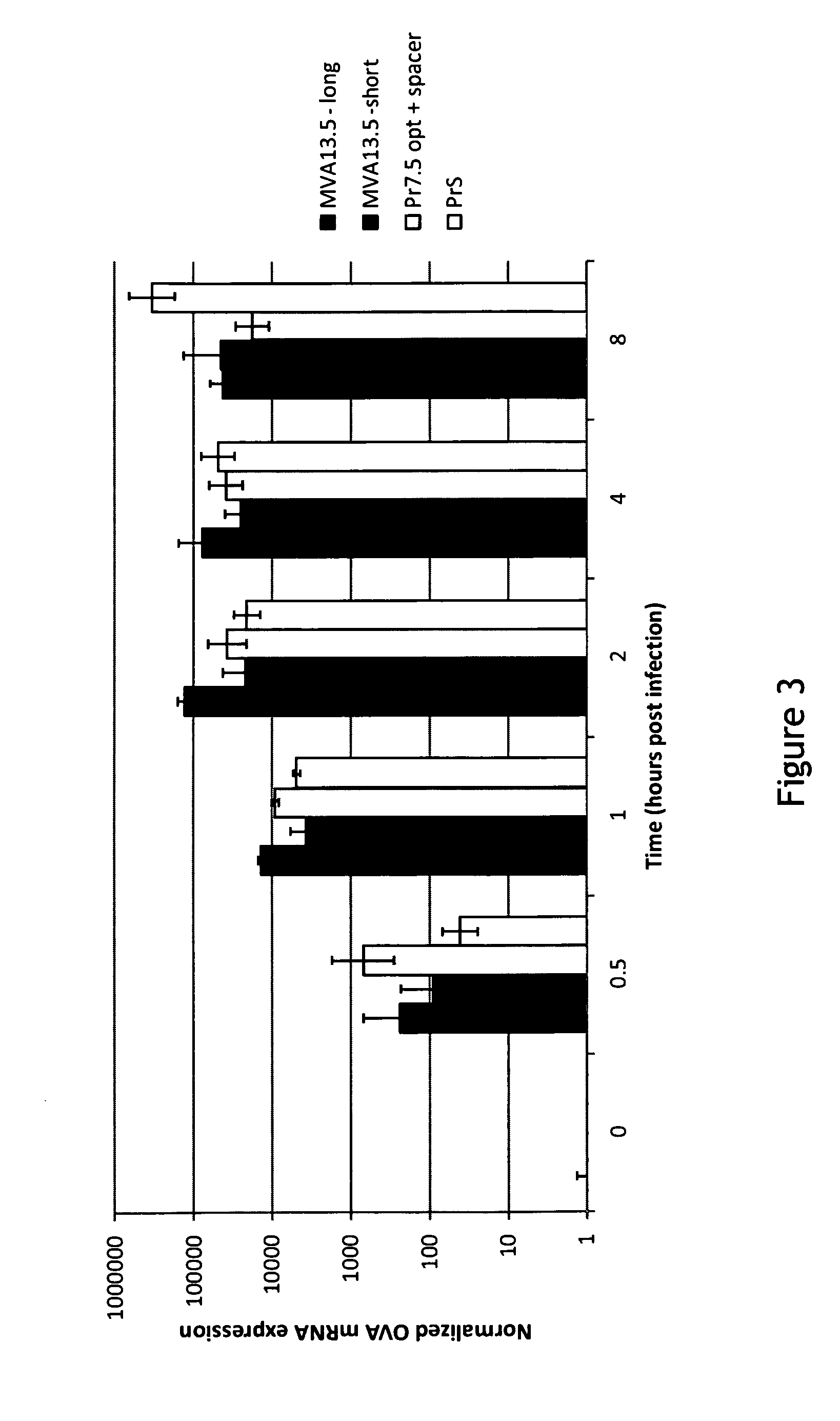 Pr13.5 promoter for robust t-cell and antibody responses