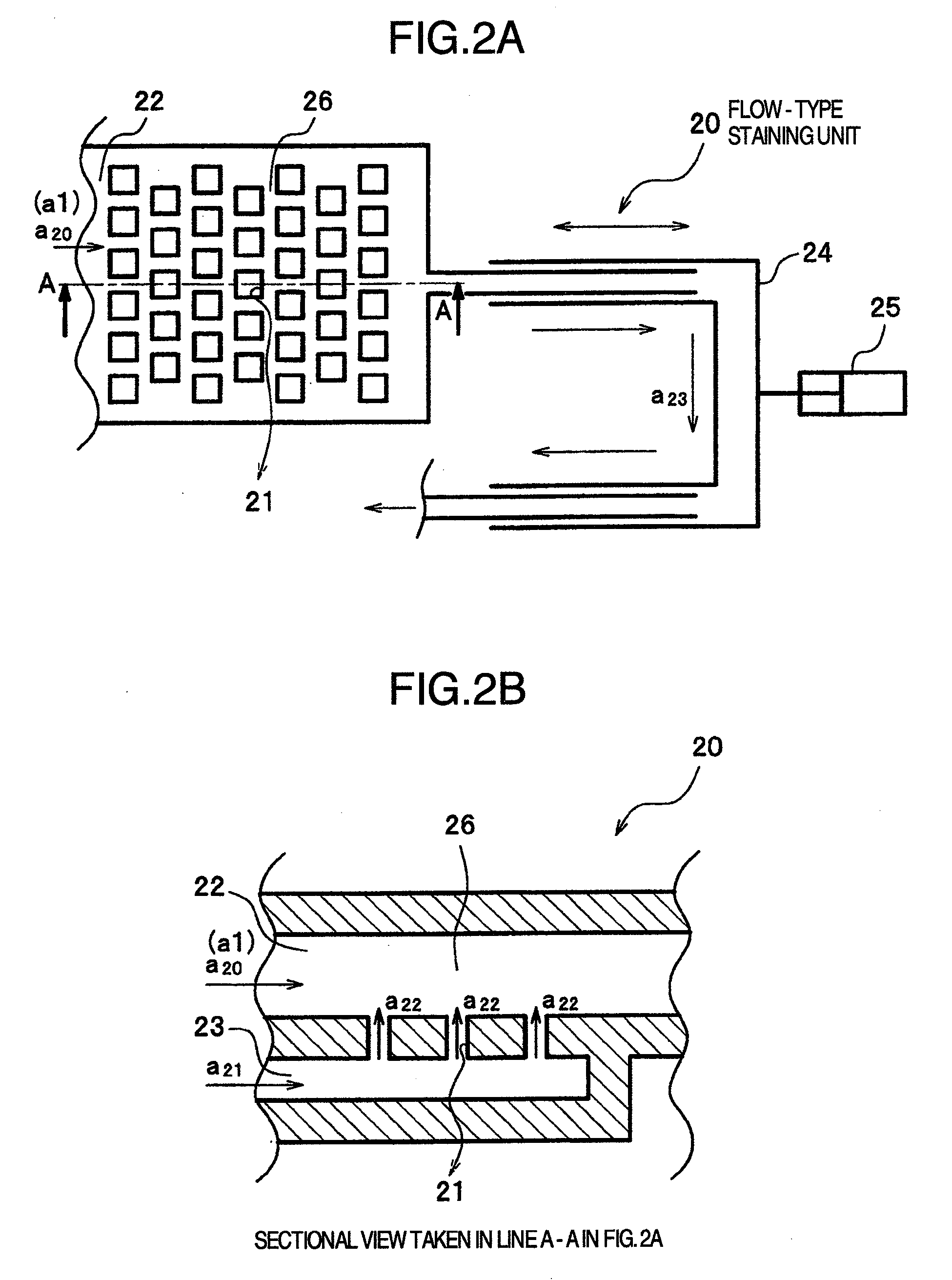 Organism testing apparatus