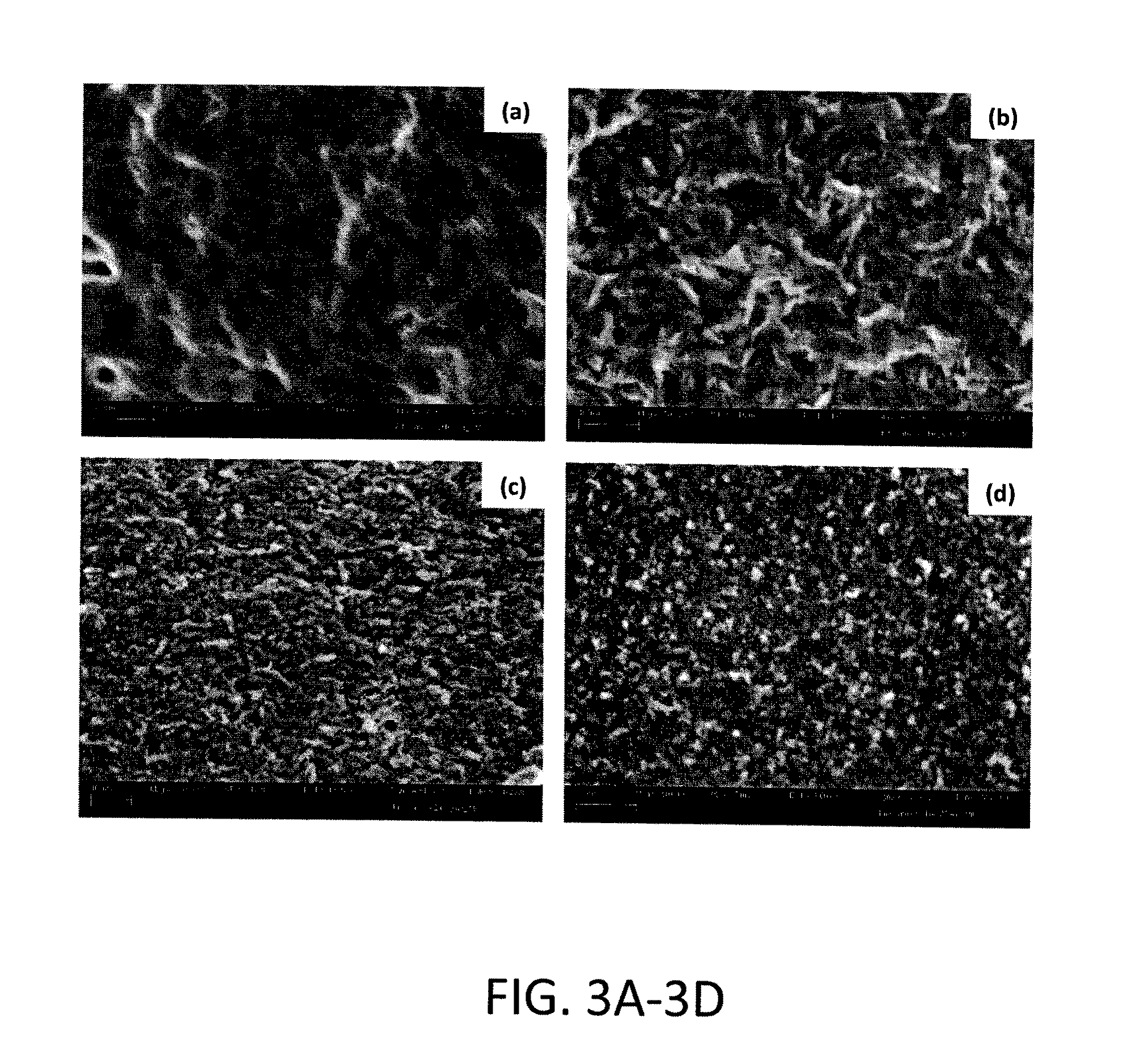 Surface Functionalized Colloidally Stable Spheroidal Nano-apatites Exhibiting Intrinsic Multi-functionality