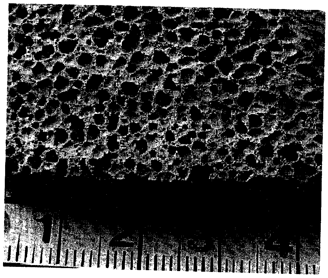 Preparation method of ultralight hierarchical-array-pore foam material