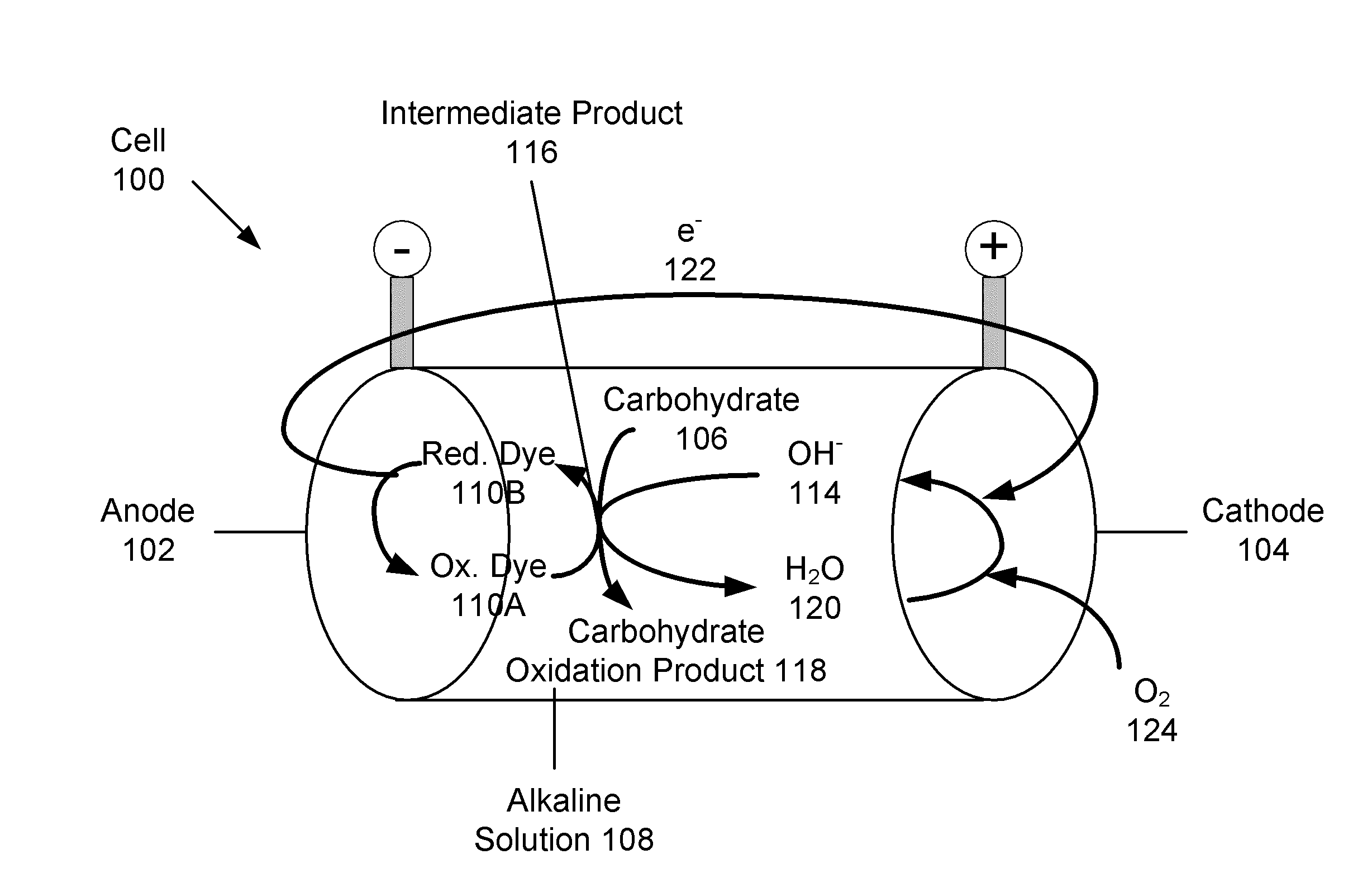 Systems and methods for carbohydrate detection