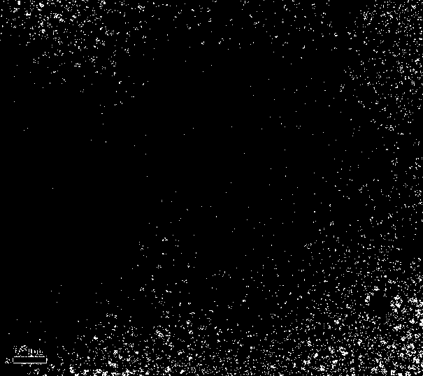 Compound cefquinome antibacterial agent