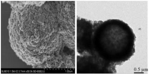 Nonmetal co-doped thorn-shaped inlaid TiO2 hollow structures as well as preparation method and application thereof