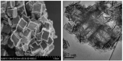 Nonmetal co-doped thorn-shaped inlaid TiO2 hollow structures as well as preparation method and application thereof