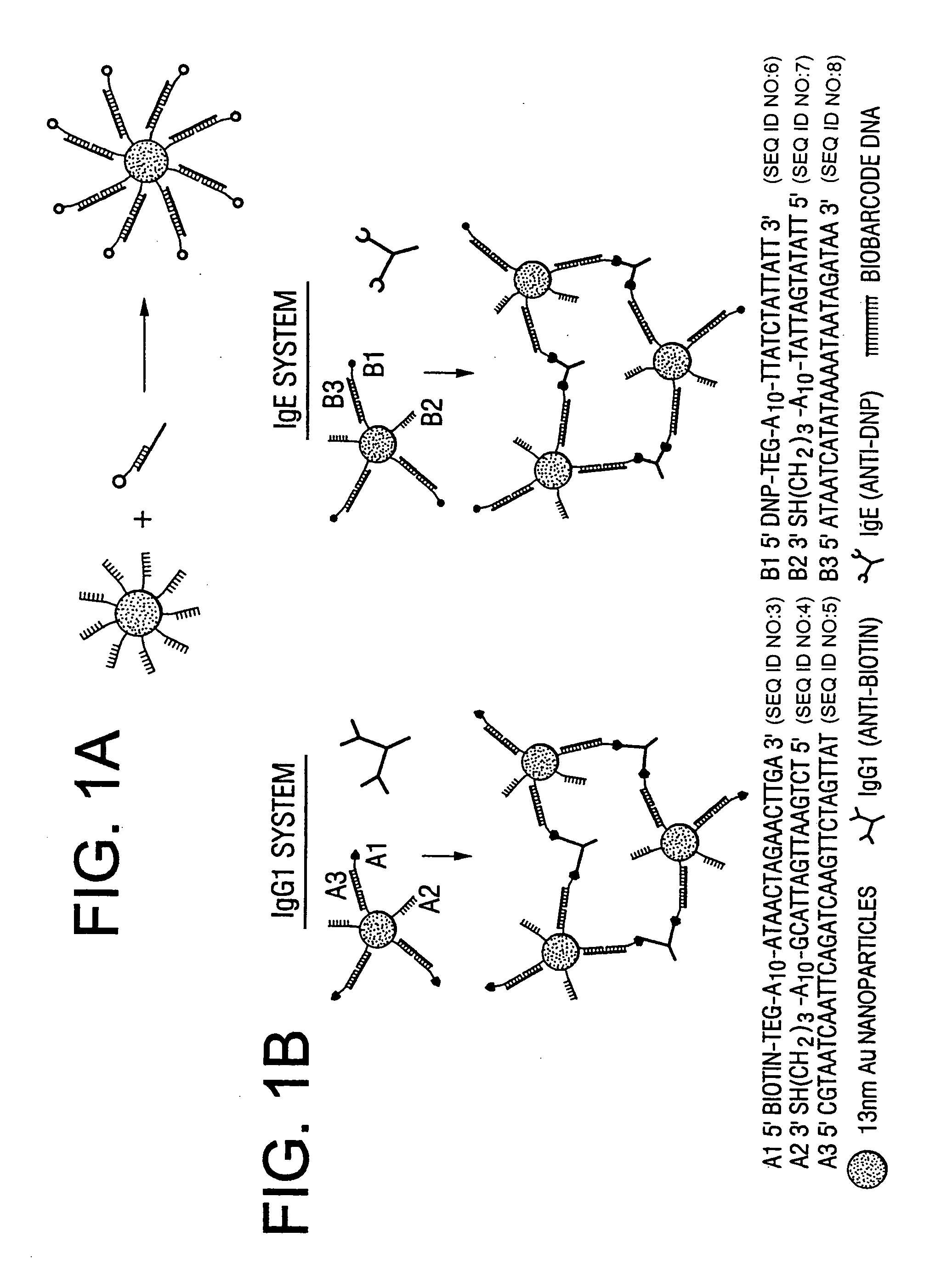 Bio-barcode based detection of target analytes