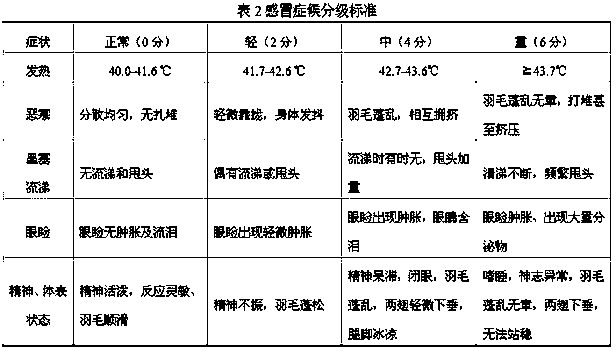 Radix bupleuri and cassia twig oral liquid and preparation method thereof