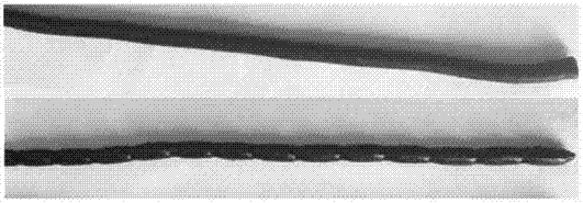 Rubber dynamic extrusion molding device and method