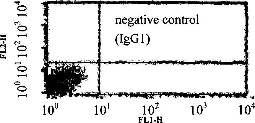 Heavy chain and light chain variable regions of anti-human BAFF monoclonal antibody