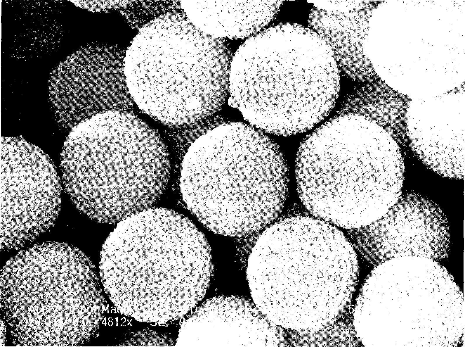 Preparation of monodisperse porous polymer microsphere