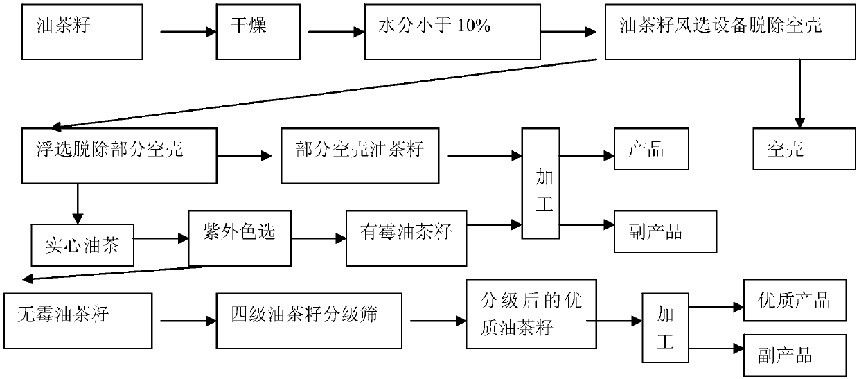 Technology for selecting and processing camellia oleifera seeds