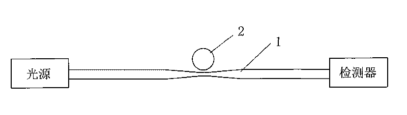 Whispering-gallery-mode fiber optic biosensor