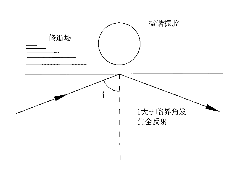 Whispering-gallery-mode fiber optic biosensor