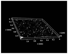 A method for rapid preparation of multi-dimensional fluorescent nanoparticles and in situ quantitative characterization of their dynamic dispersion state