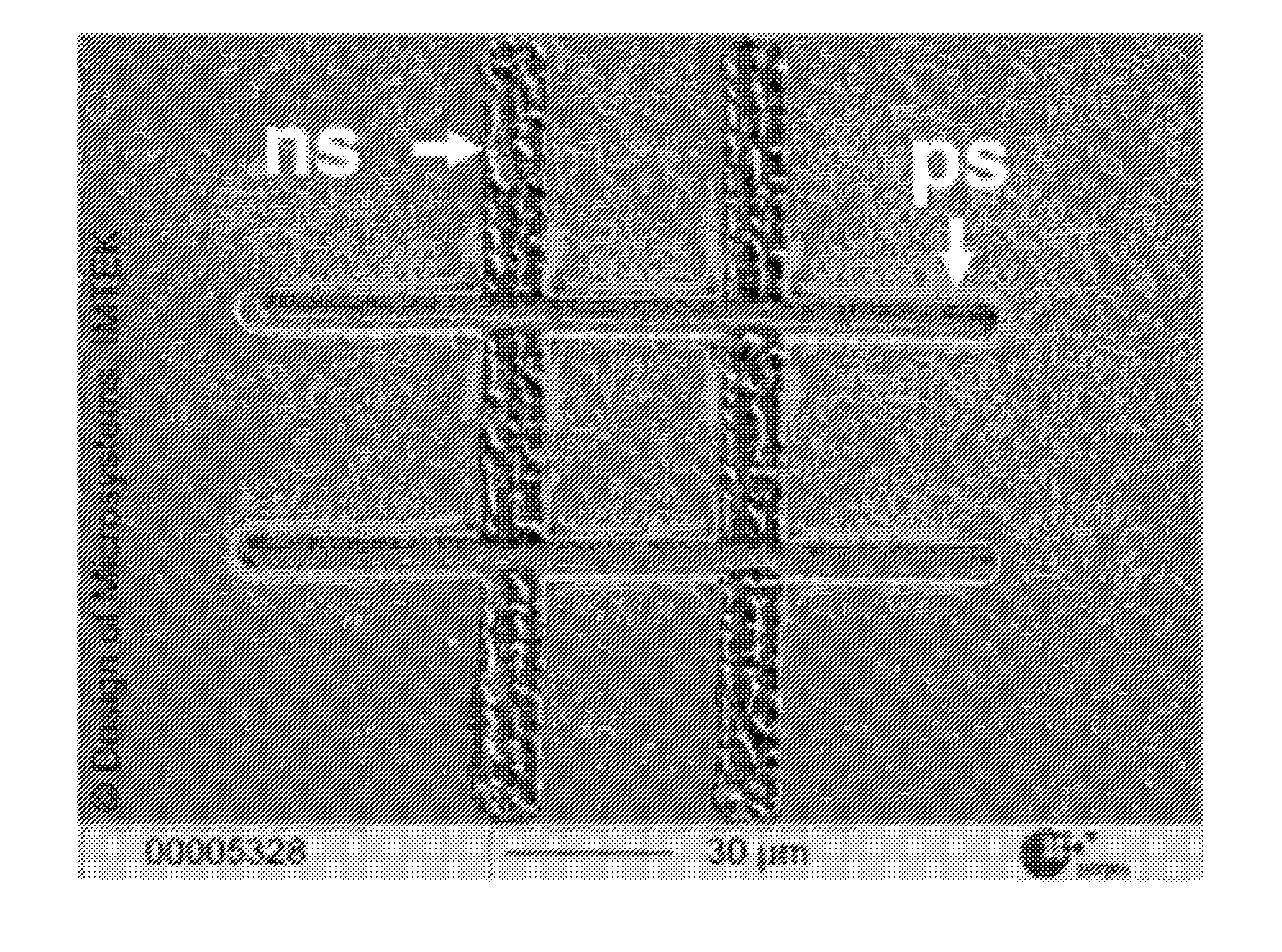 Apparatus for generating short-pulse laser using temporally modulated sideband gain