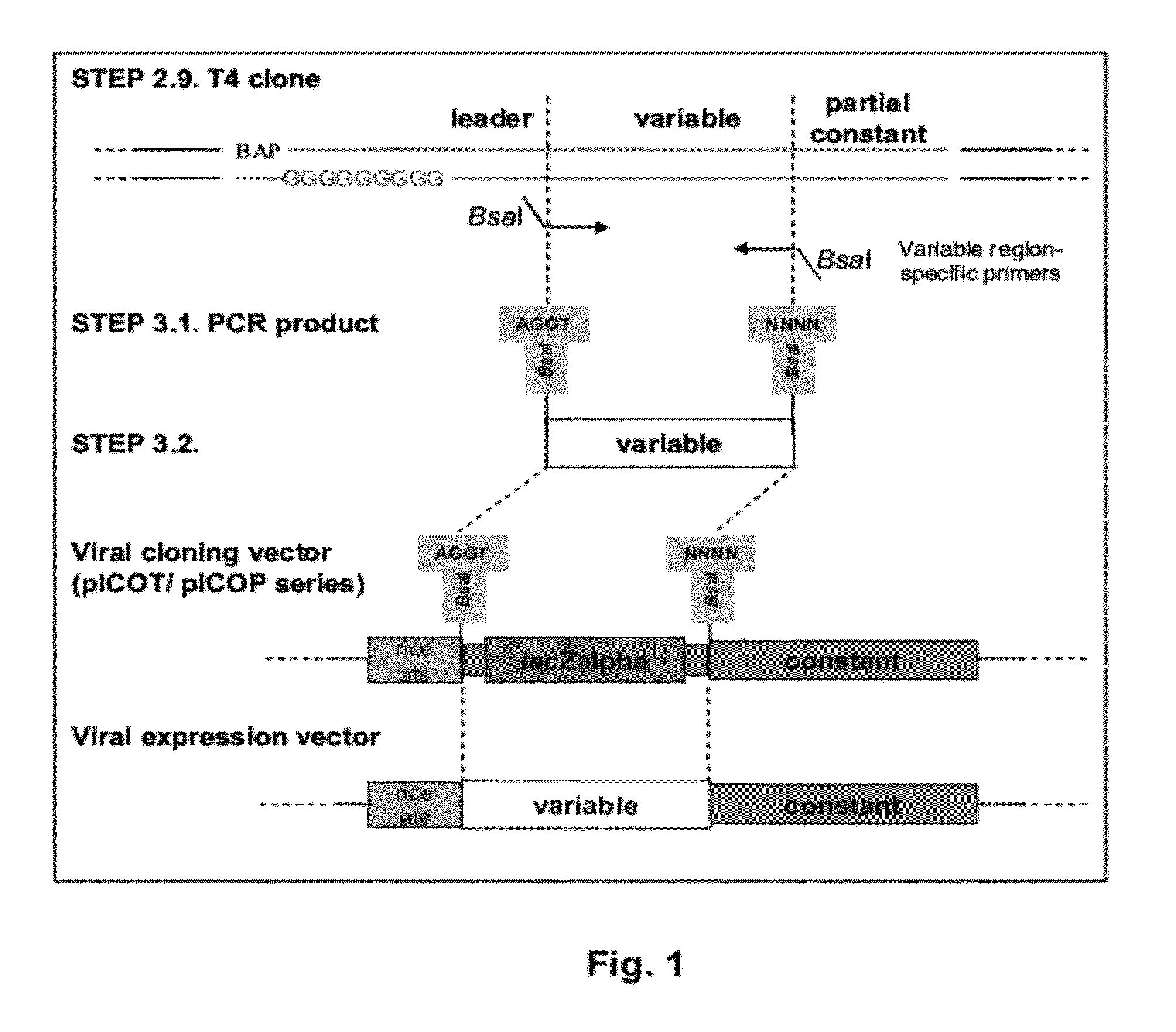 Pharmaceutical formulation containing immunoglobulin