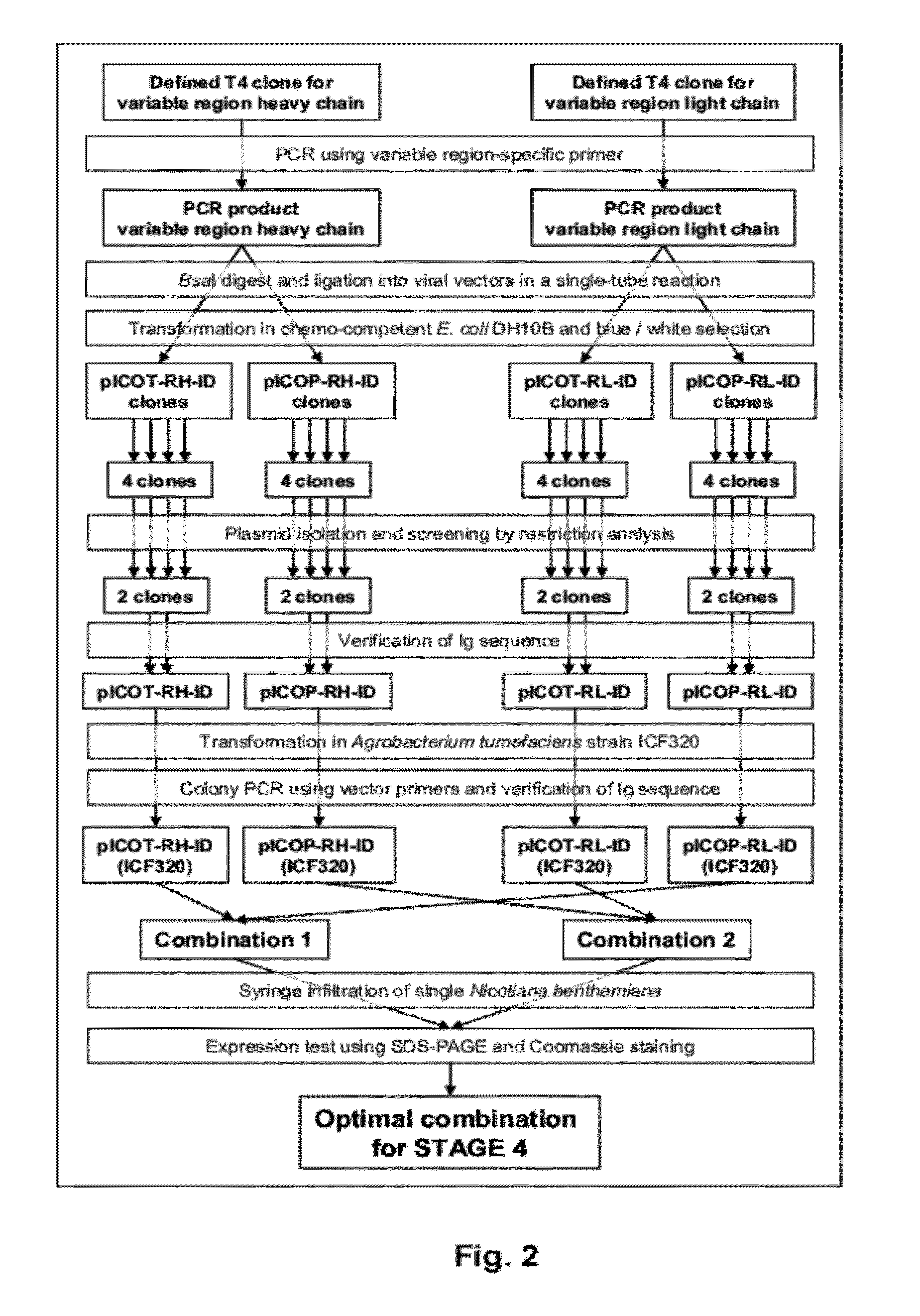 Pharmaceutical formulation containing immunoglobulin