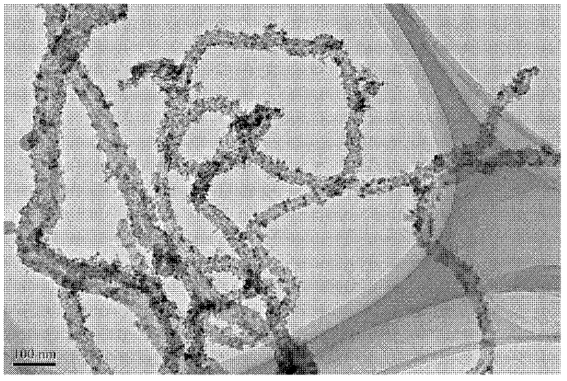 Carbon nano tube/polymer/semiconductor nano particle composite material and preparation method thereof