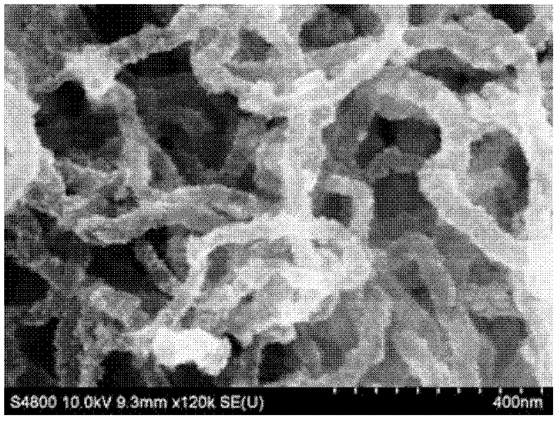 Carbon nano tube/polymer/semiconductor nano particle composite material and preparation method thereof