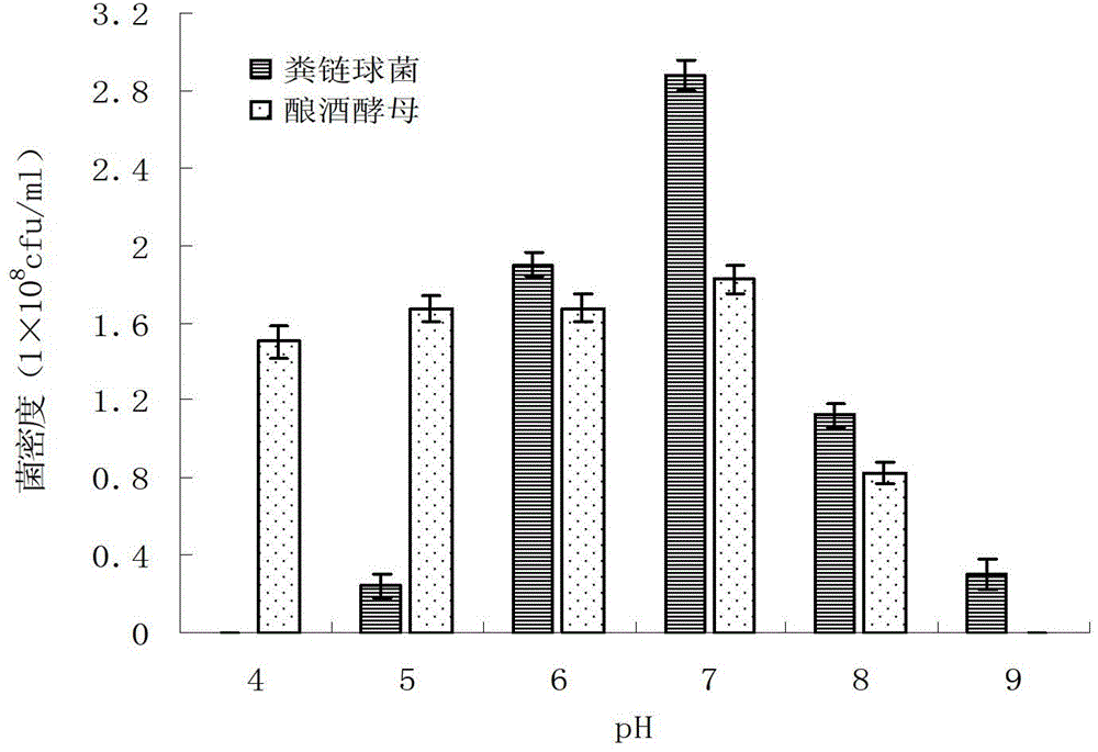 Method for symbiotic culture of streptococcus faecalis and saccharomycetes