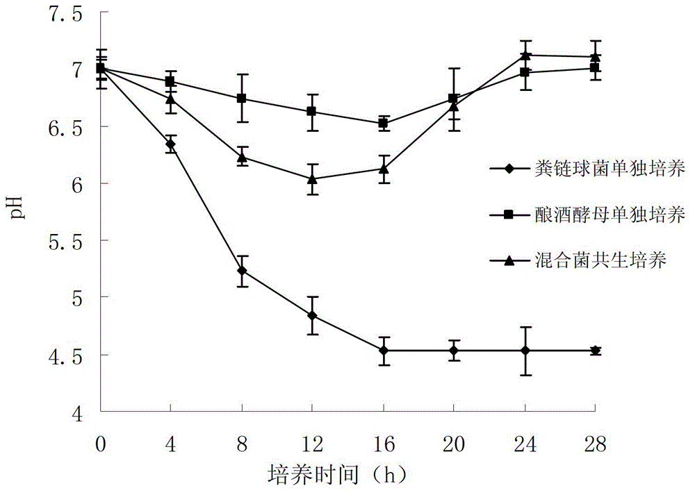 Method for symbiotic culture of streptococcus faecalis and saccharomycetes