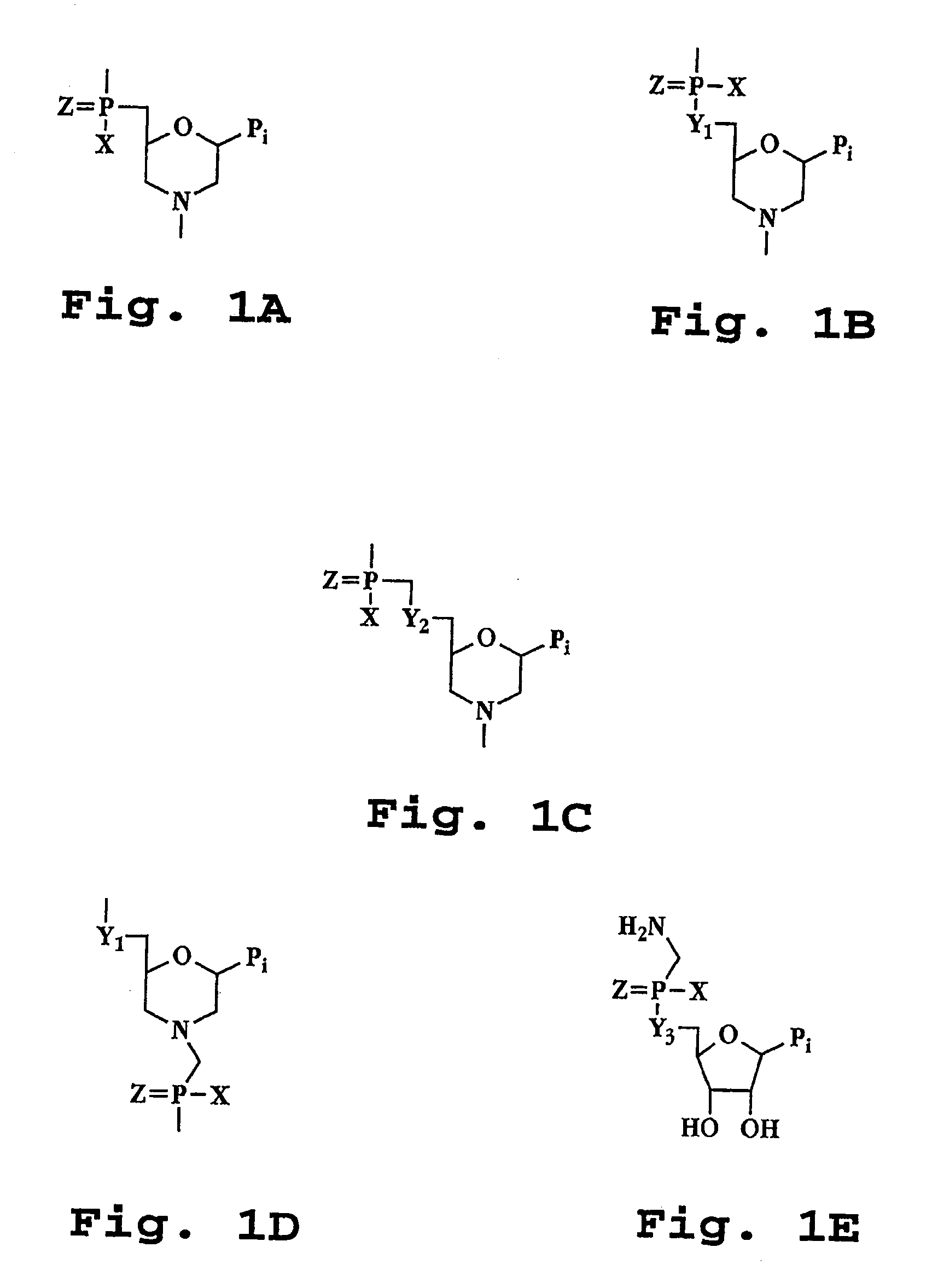 Splice-region antisense composition and method