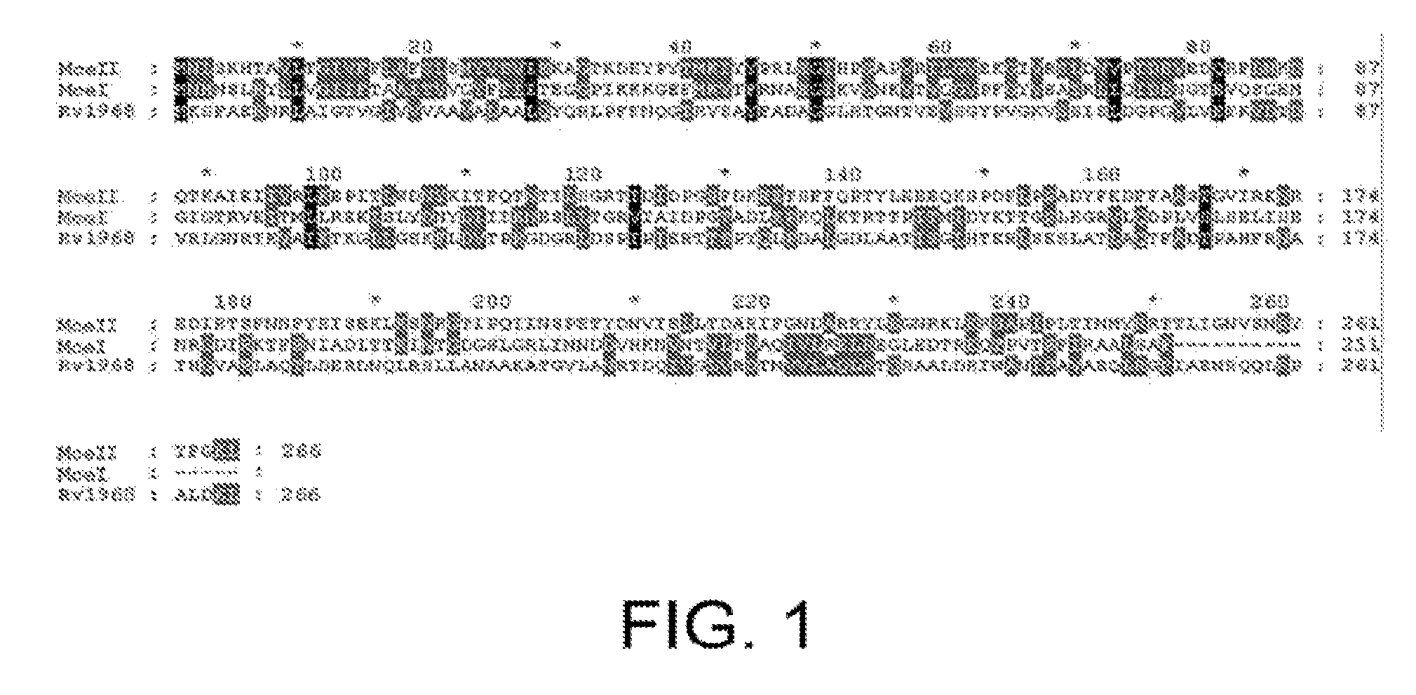 Immunogenic proteins from genome-derived outer membrane of leptospira and compositions and methods based thereon