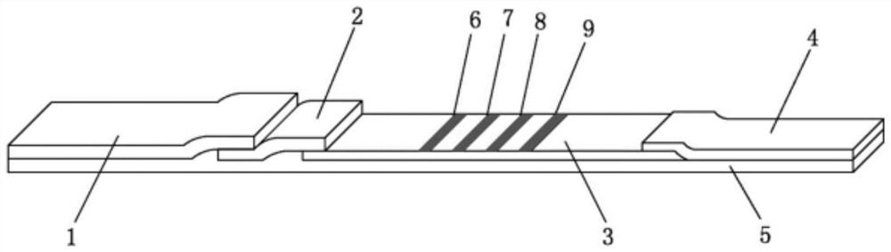 A kind of detection reagent card for Helicobacter pylori type detection and preparation method thereof