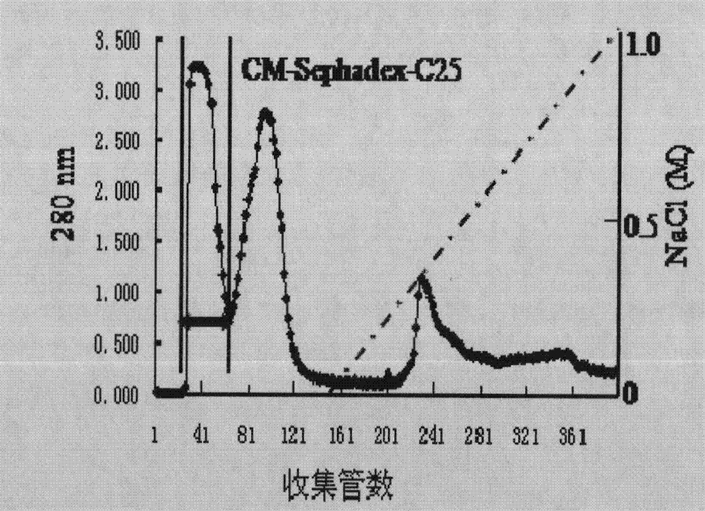 Antithrombotic enzyme Eupolytinl from Eupolyphaga sinensis Walker and gene and application thereof