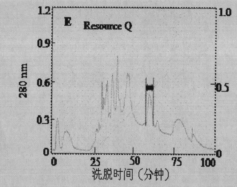 Antithrombotic enzyme Eupolytinl from Eupolyphaga sinensis Walker and gene and application thereof