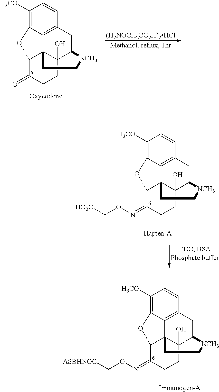 Haptens, immunogens and antibodies to oxycodone and its metabolites