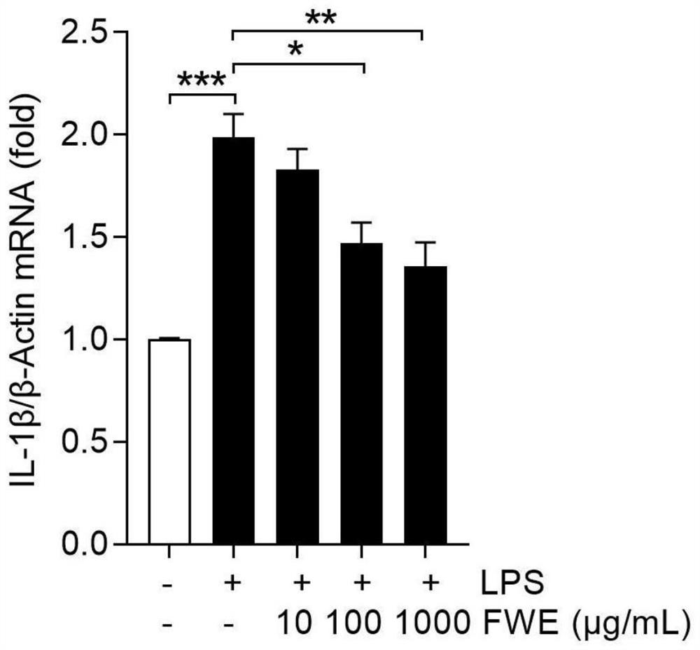 Preparation method of fresh dendrobium aqueous extract for treating cell injury and inflammation