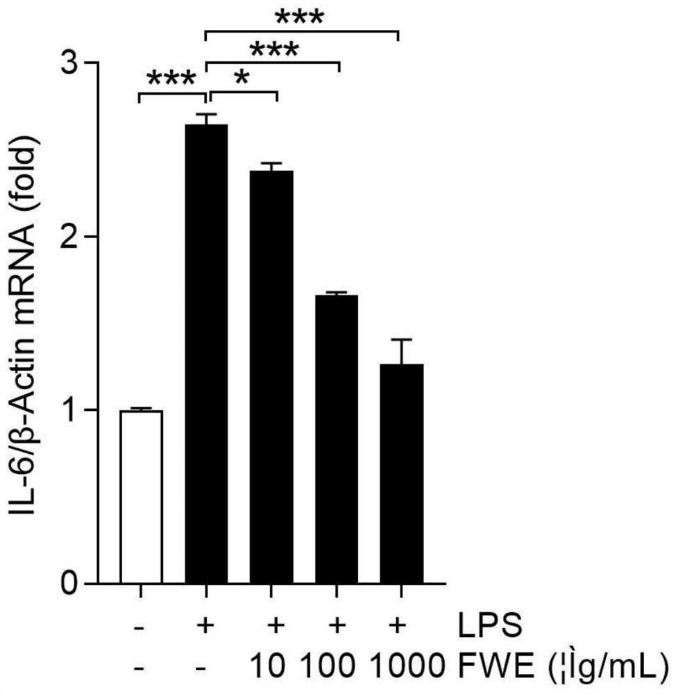 Preparation method of fresh dendrobium aqueous extract for treating cell injury and inflammation