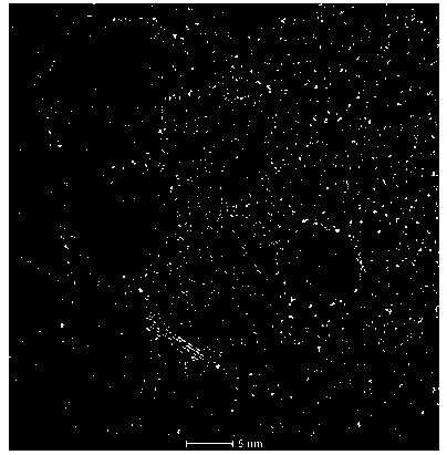 Preparation method of wurtzite CMTS nano-crystal