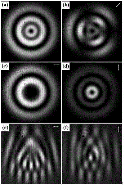 Method and device using birefraction polarization beam splitter to generate vector beam