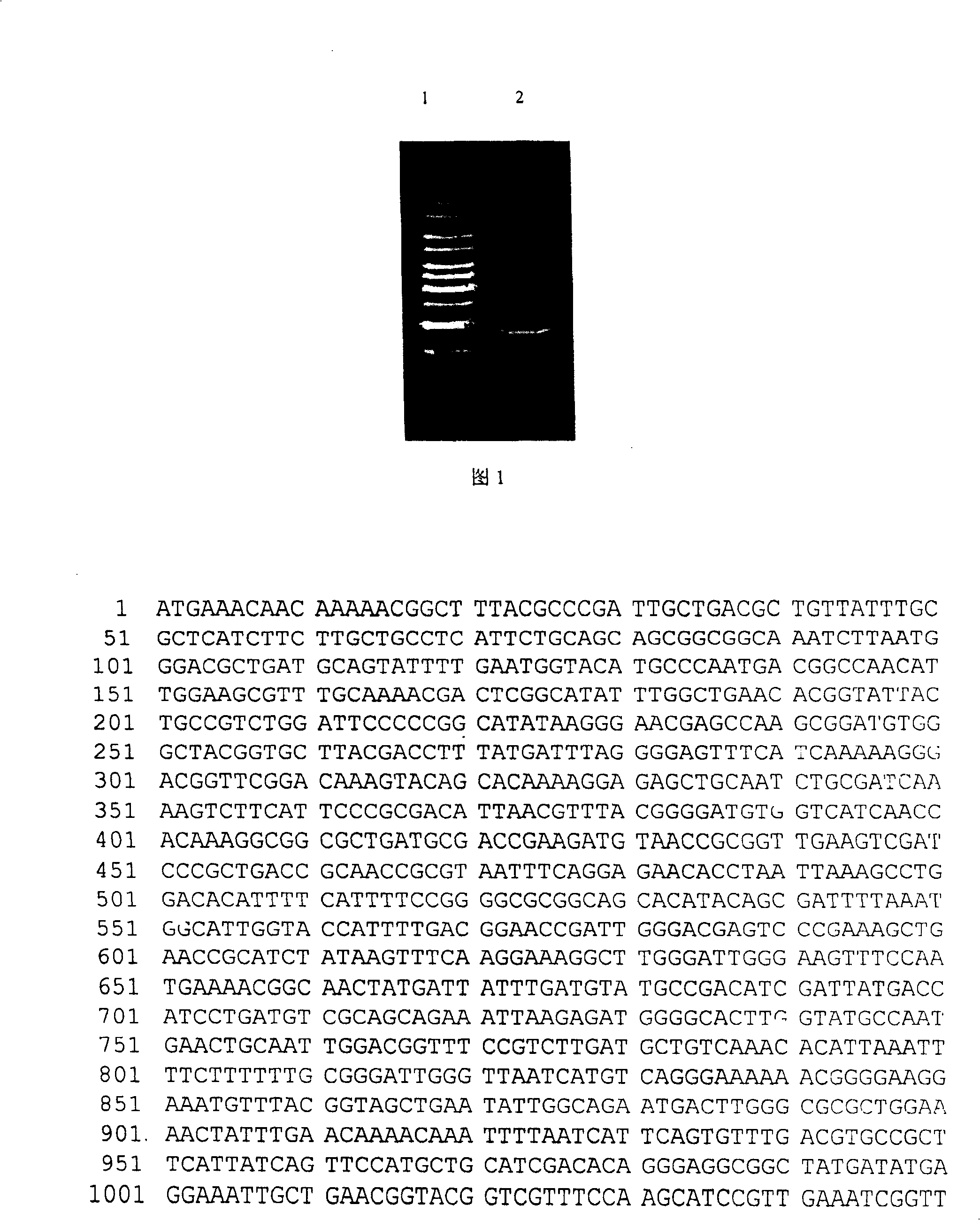 Acid-proof and high-temperature resistant alpha-amylase and production thereof