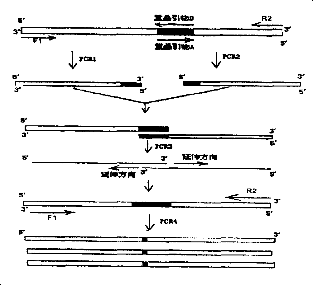 Acid-proof and high-temperature resistant alpha-amylase and production thereof