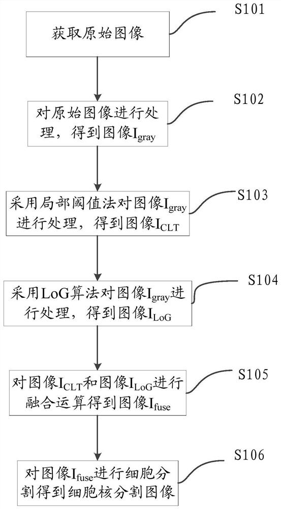 Cell segmentation method, device and computer-readable storage medium